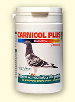 Carnicol Plus